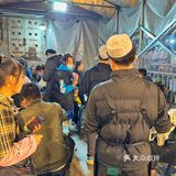 究竟谁还没吃这口细沙炒八宝真的很好吃