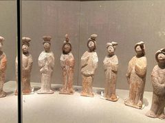 -阿五黄河大鲤鱼(纬三路店)