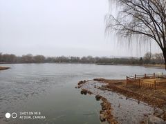 -燕郊植物园