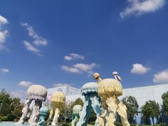 -芜湖新华联大白鲸海洋公园