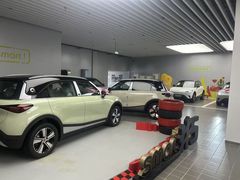 -上海浦东smart汽车全功能店(金桥店)