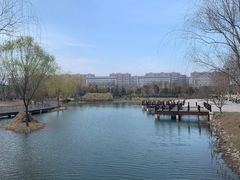 -河南财经政法大学(郑东校区)