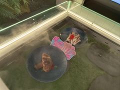 -芸山季·云南山珍菌火锅(南翔印象城MEGA店)