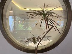 -苏帮袁Sue Cuisine(将台店)