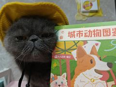 -瑞虹新天地月亮湾