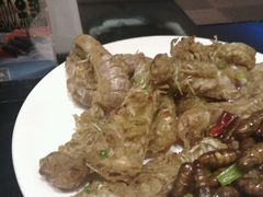 -壹号港湾