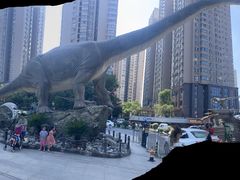 -陕西自然博物馆