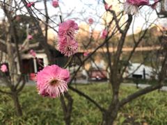 -鲁迅公园-垂钓中心