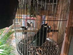 -西西里轰趴日租聚会别墅·团建拓展