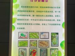 -上海昆虫博物馆