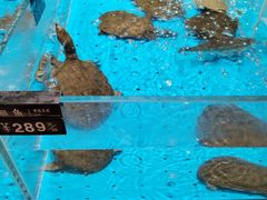 -艳阳天·非遗楚菜(武汉客厅店)
