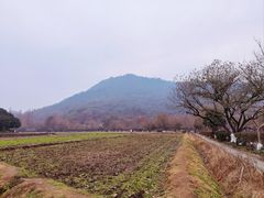 -八卦田遗址公园