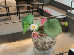 -单家老院·院子里的青岛菜(沙子口店)