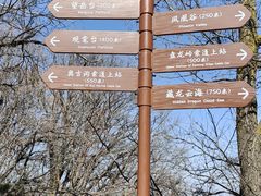 -少华山国家森林公园