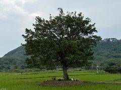 -风云岭森林公园