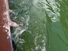 -天目溪漂流
