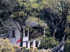 -灵顺寺
