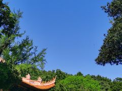 -普陀山风景区-佛顶山