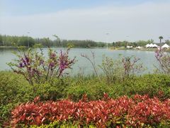 -苏州太湖国家湿地公园