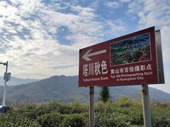 -塔川景区