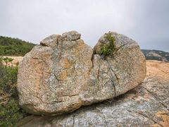 -蒲台岛