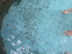 -郑州银基黄帝宫御温泉