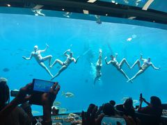 -瑞德姆美人鱼海底演艺主题餐厅(亚龙湾店)