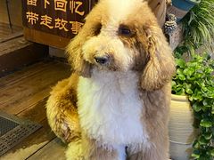 -小喜客·云南特色菜(纳西庭院店)