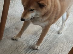 -小时光咖啡馆(北锣鼓巷店)