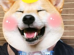 -上海市第十人民医院(总院)