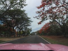 -大世界兄弟租车