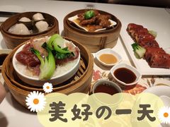 -虾饺妹·酒家(金碧店)
