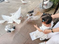 -中粮·祥云小镇