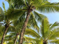 -海口骑楼小吃街