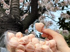 -糕大师•手作鲜糕点(滨湖万达店)