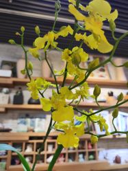 -今日陶艺(富力广场店)