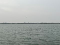 -丁香湖公园