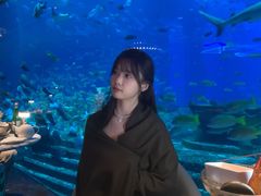 -亚特兰蒂斯•OSSIANO奥西亚诺海底餐厅