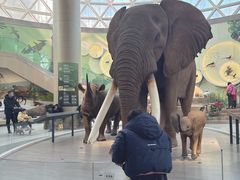 -陕西自然博物馆