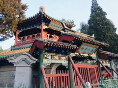 -大益烤鸡