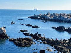 -养马岛旅游度假区