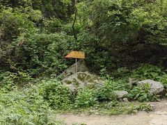 -抱龙峪