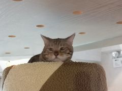 -Me Coffee下午茶艺术空间