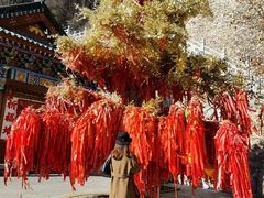 -九鼎铁刹山风景区
