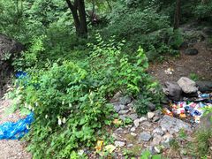 -云岫谷自然风景区