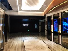 -英皇电影城(英皇集团中心IMAX店)