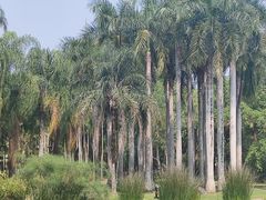 -中国科学院西双版纳热带植物园