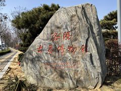 -洛阳古墓博物馆