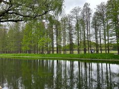 -上海共青森林公园