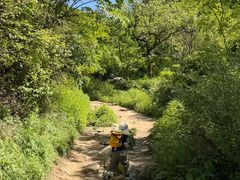 -抱龙峪